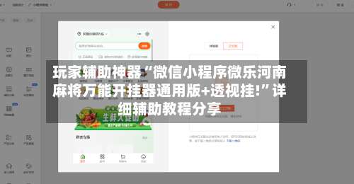 玩家辅助神器“微信小程序微乐河南麻将万能开挂器通用版+透视挂!”详细辅助教程分享-第1张图片