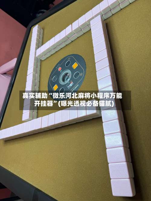 真实辅助“微乐河北麻将小程序万能开挂器	”(曝光透视必备猫腻)-第1张图片