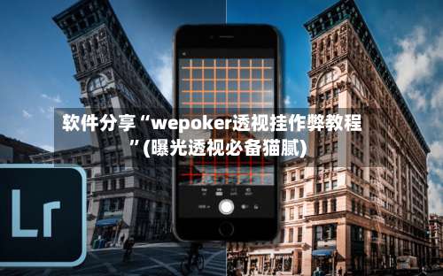 软件分享“wepoker透视挂作弊教程	”(曝光透视必备猫腻)-第1张图片