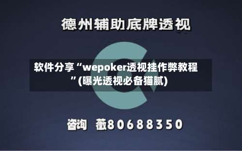 软件分享“wepoker透视挂作弊教程”(曝光透视必备猫腻)-第3张图片
