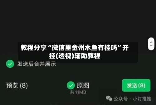 教程分享“微信里金州水鱼有挂吗	”开挂(透视)辅助教程-第1张图片