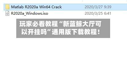 玩家必看教程“新蓝鲸大厅可以开挂吗”通用版下载教程！-第1张图片