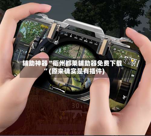 辅助神器“衢州都莱辅助器免费下载”(原来确实是有插件)-第1张图片