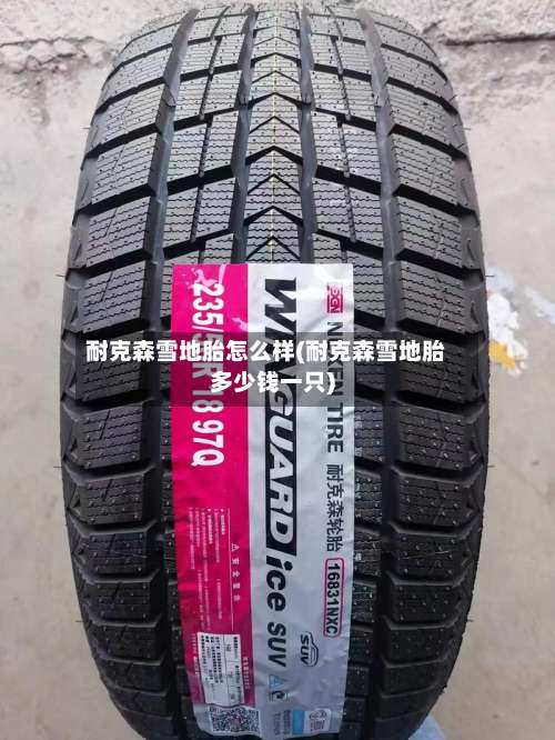 耐克森雪地胎怎么样(耐克森雪地胎多少钱一只)-第1张图片