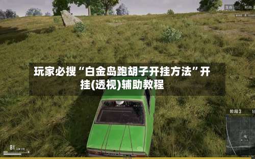 玩家必搜“白金岛跑胡子开挂方法”开挂(透视)辅助教程-第2张图片