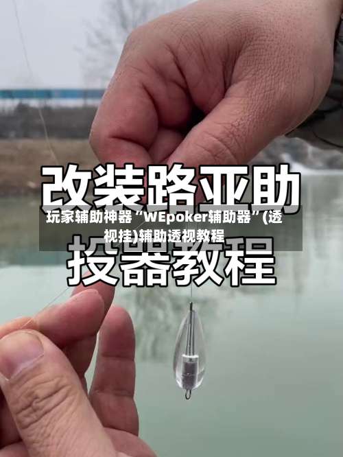 玩家辅助神器“WEpoker辅助器”(透视挂)辅助透视教程-第2张图片