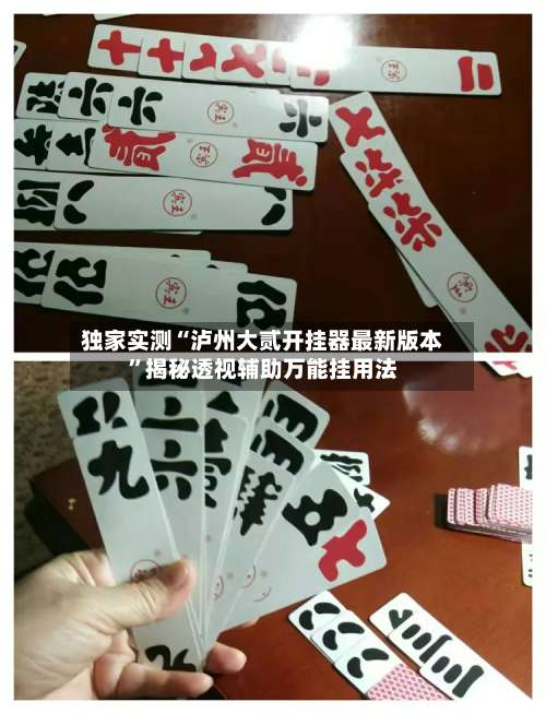 独家实测“泸州大贰开挂器最新版本”揭秘透视辅助万能挂用法-第1张图片