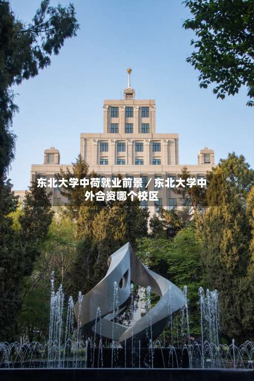 东北大学中荷就业前景／东北大学中外合资哪个校区-第2张图片