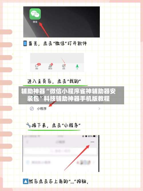 辅助神器“微信小程序雀神辅助器安装包	”科技辅助神器手机版教程-第1张图片