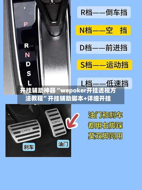 开挂辅助神器“wepoker开挂透视方法教程”开挂辅助脚本+详细开挂-第1张图片
