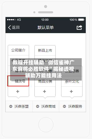 教程开挂辅助“微信雀神广东麻将必胜软件”揭秘透视辅助万能挂用法-第1张图片