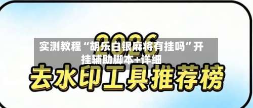 实测教程“胡乐白银麻将有挂吗”开挂辅助脚本+详细-第2张图片