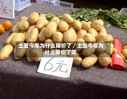 土豆今年为什么降价了／土豆今年为什么降价了呢-第2张图片