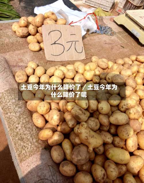 土豆今年为什么降价了／土豆今年为什么降价了呢-第3张图片