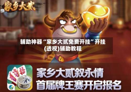 辅助神器“家乡大贰免费开挂”开挂(透视)辅助教程-第1张图片