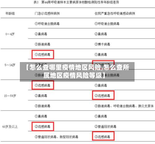 【怎么查哪里疫情地区风险,怎么查所属地区疫情风险等级】-第1张图片