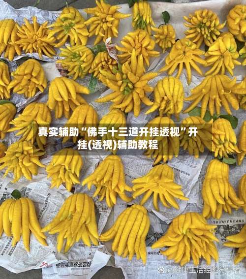 真实辅助“佛手十三道开挂透视”开挂(透视)辅助教程-第1张图片