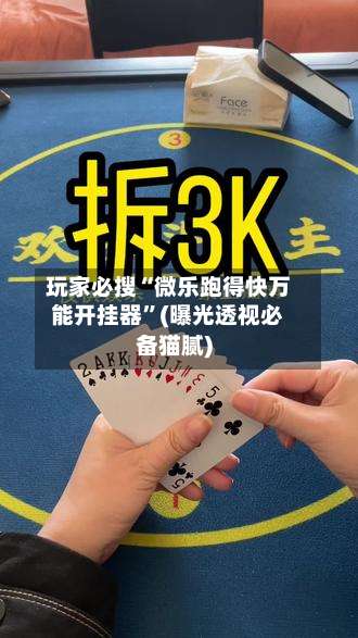 玩家必搜“微乐跑得快万能开挂器”(曝光透视必备猫腻)-第3张图片