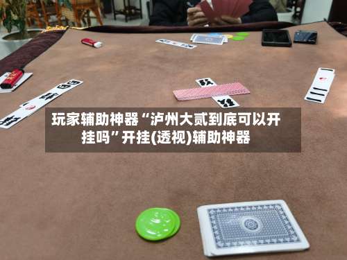 玩家辅助神器“泸州大贰到底可以开挂吗”开挂(透视)辅助神器-第1张图片