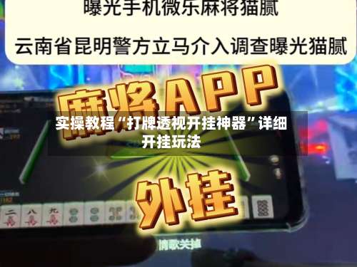 实操教程“打牌透视开挂神器”详细开挂玩法-第2张图片