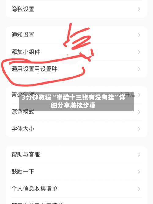 3分钟教程“掌酷十三张有没有挂”详细分享装挂步骤-第1张图片