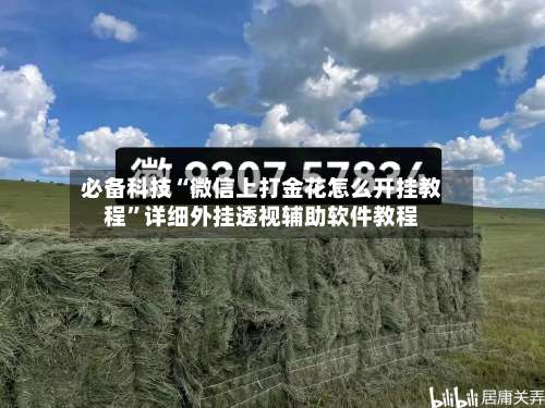 必备科技“微信上打金花怎么开挂教程	”详细外挂透视辅助软件教程-第2张图片
