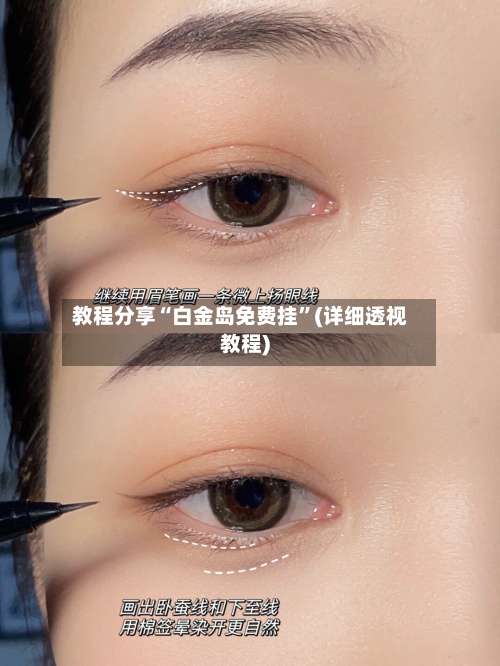 教程分享“白金岛免费挂”(详细透视教程)-第1张图片