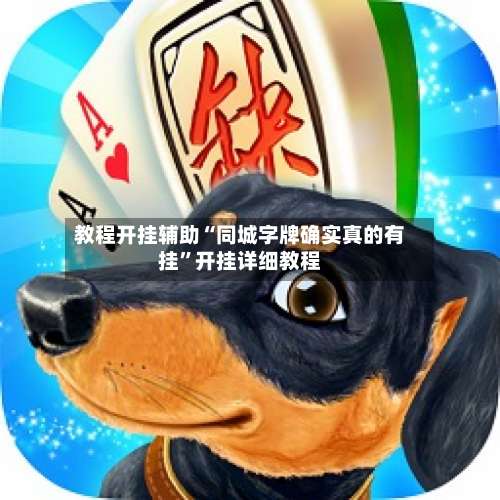 教程开挂辅助“同城字牌确实真的有挂”开挂详细教程-第2张图片