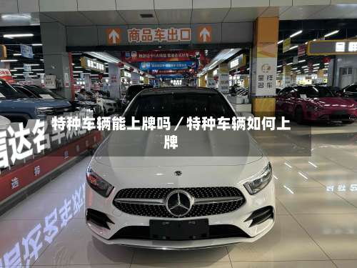 特种车辆能上牌吗／特种车辆如何上牌-第2张图片