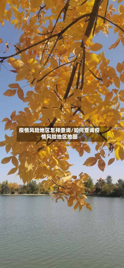 疫情风险地区怎样查询/如何查询疫情风险地区地图-第3张图片