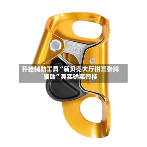 开挂辅助工具“新贝壳大厅拼三张牌辅助	”其实确实有挂-第3张图片