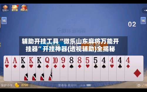 辅助开挂工具“微乐山东麻将万能开挂器”开挂神器{透视辅助}全揭秘-第3张图片