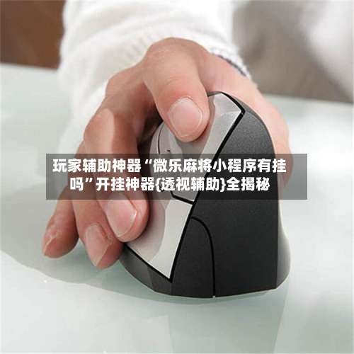 玩家辅助神器“微乐麻将小程序有挂吗	”开挂神器{透视辅助}全揭秘-第3张图片