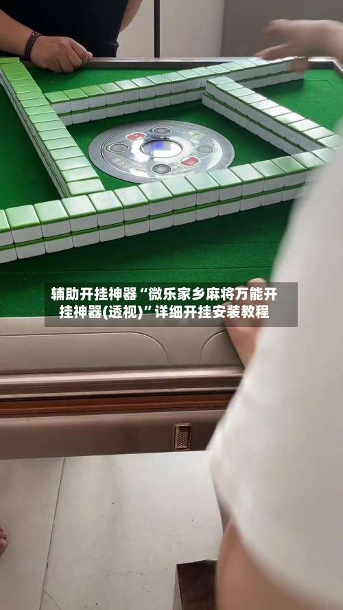 辅助开挂神器“微乐家乡麻将万能开挂神器(透视)”详细开挂安装教程-第3张图片