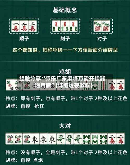 经验分享“微乐广东麻将万能开挂器通用版”(详细透视教程)-第3张图片