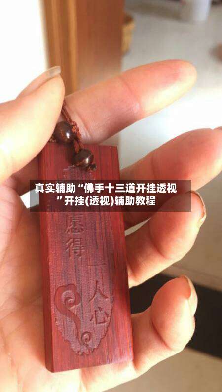 真实辅助“佛手十三道开挂透视	”开挂(透视)辅助教程-第2张图片