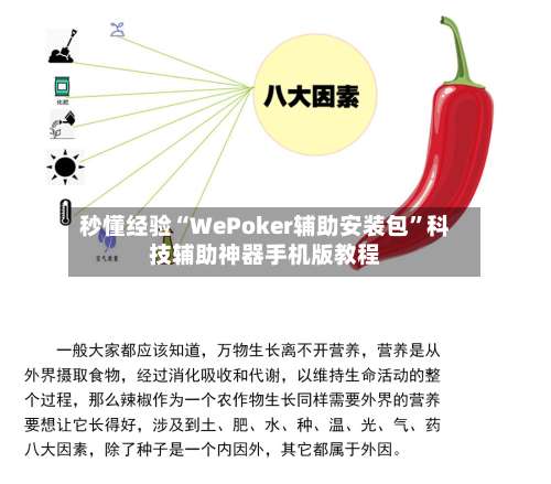 秒懂经验“WePoker辅助安装包”科技辅助神器手机版教程-第2张图片