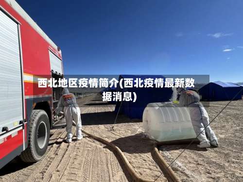 西北地区疫情简介(西北疫情最新数据消息)-第3张图片
