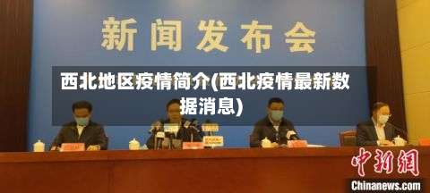 西北地区疫情简介(西北疫情最新数据消息)-第1张图片