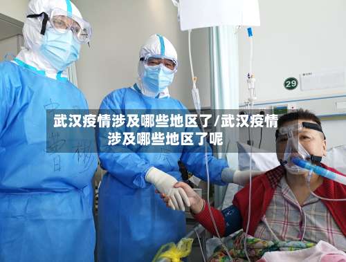 武汉疫情涉及哪些地区了/武汉疫情涉及哪些地区了呢-第1张图片