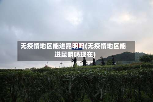 无疫情地区能进昆明吗(无疫情地区能进昆明吗现在)-第1张图片