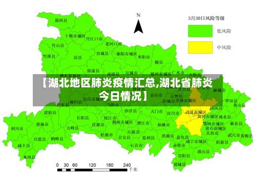 【湖北地区肺炎疫情汇总,湖北省肺炎今日情况】-第2张图片