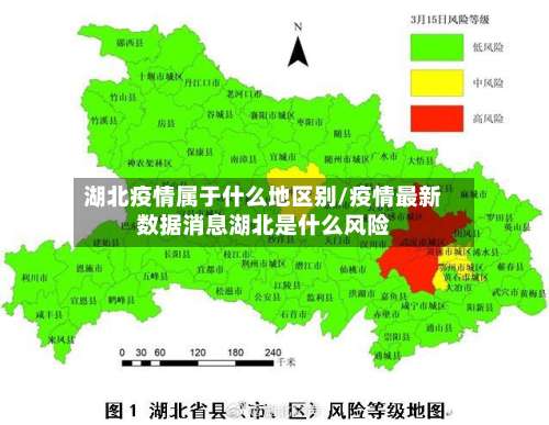 湖北疫情属于什么地区别/疫情最新数据消息湖北是什么风险-第2张图片