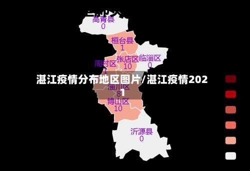 湛江疫情分布地区图片/湛江疫情2021-第2张图片