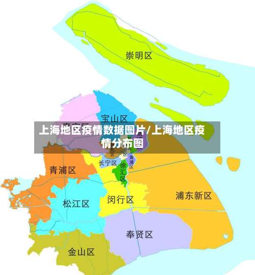 上海地区疫情数据图片/上海地区疫情分布图-第2张图片