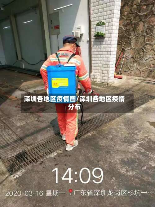 深圳各地区疫情图/深圳各地区疫情分布-第1张图片