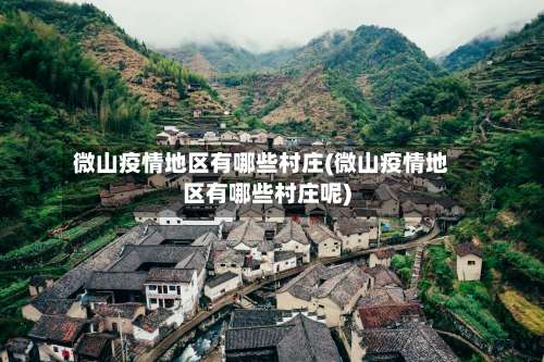 微山疫情地区有哪些村庄(微山疫情地区有哪些村庄呢)-第2张图片