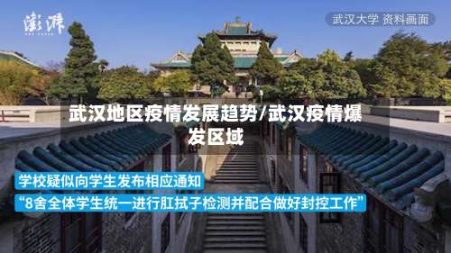 武汉地区疫情发展趋势/武汉疫情爆发区域-第1张图片