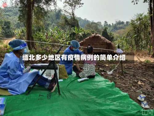缅北多少地区有疫情病例的简单介绍-第1张图片