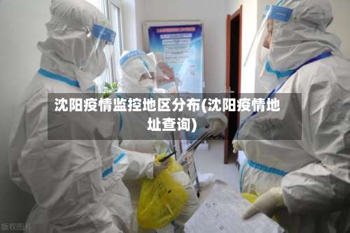 沈阳疫情监控地区分布(沈阳疫情地址查询)-第1张图片